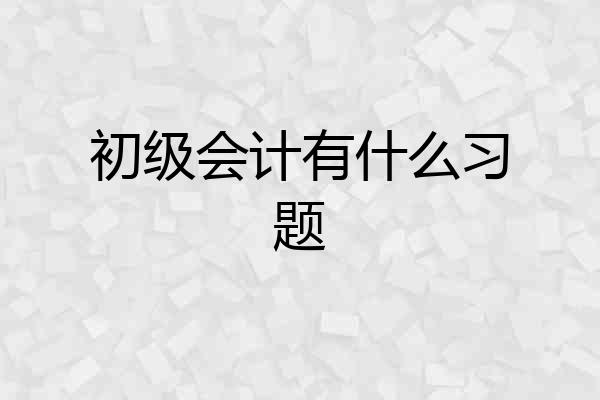 初级会计有什么习题