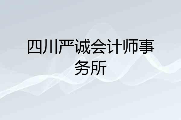 四川严诚会计师事务所