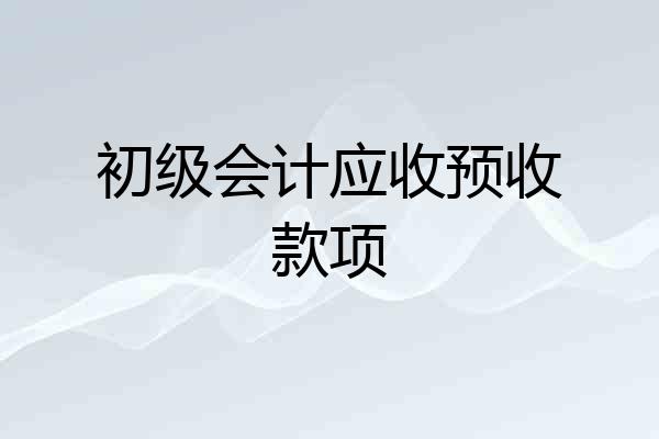 初级会计应收预收款项