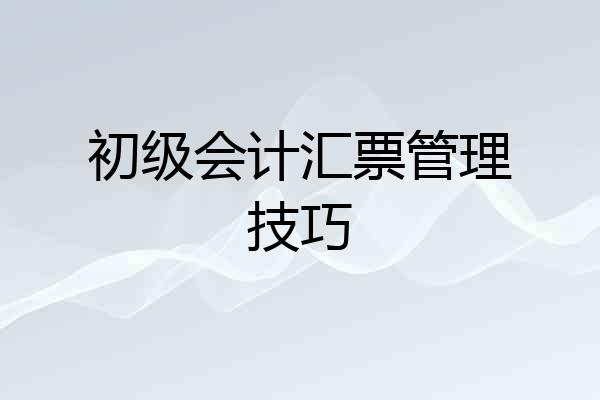 初级会计汇票管理技巧