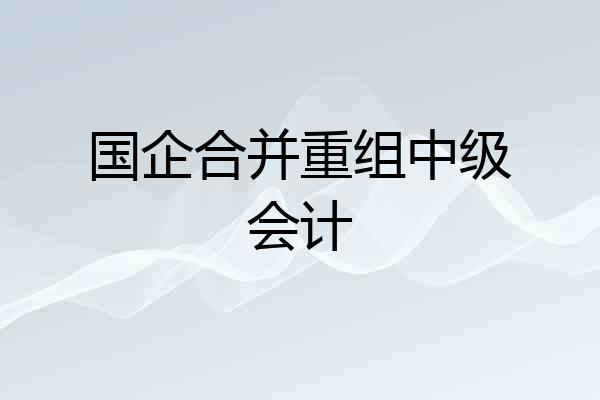 国企合并重组中级会计