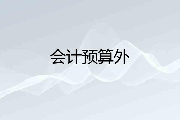 会计预算外