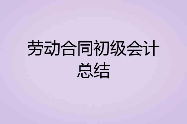 劳动合同初级会计总结