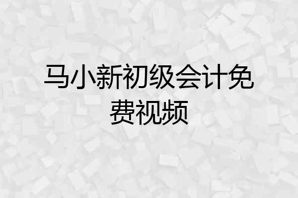 马小新初级会计免费视频
