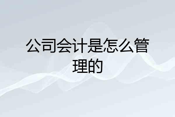 公司会计是怎么管理的