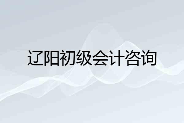 辽阳初级会计咨询