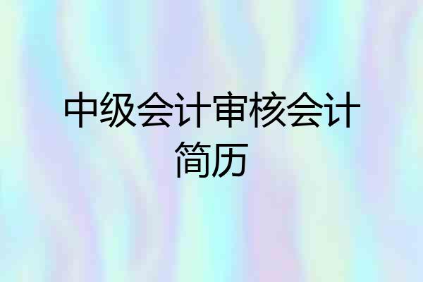 中级会计审核会计简历