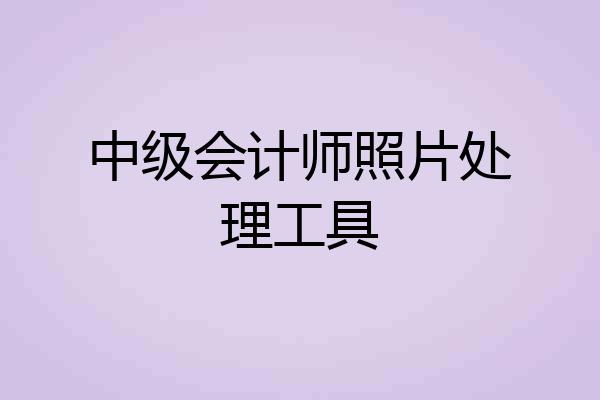 中级会计师照片处理工具