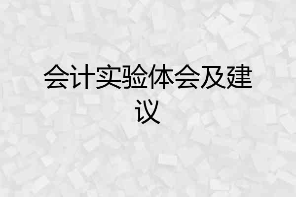 会计实验体会及建议