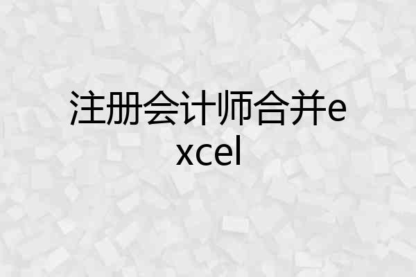 注册会计师合并excel