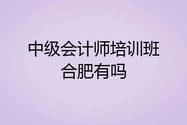 中级会计师培训班合肥有吗