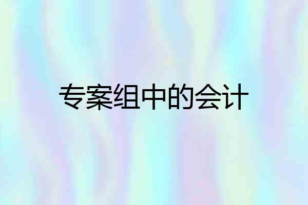 专案组中的会计
