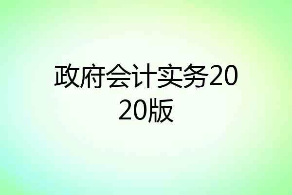 政府会计实务2020版