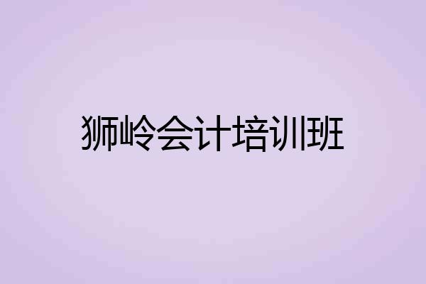 狮岭会计培训班