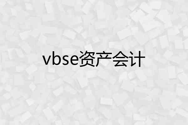 vbse资产会计