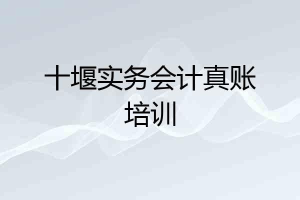 十堰实务会计真账培训