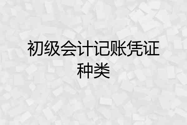 初级会计记账凭证种类