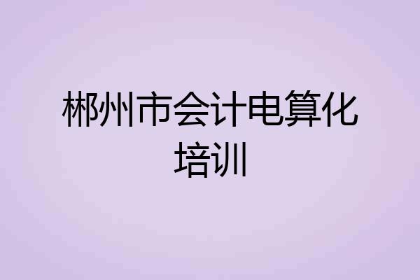 郴州市会计电算化培训