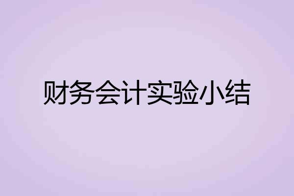 财务会计实验小结