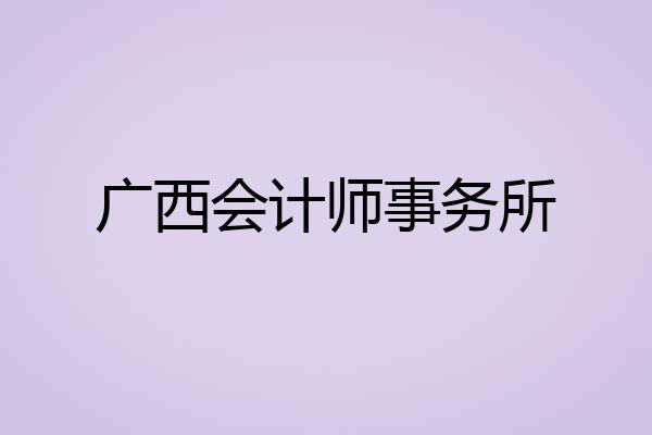 广西会计师事务所
