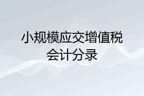 小规模应交增值税会计分录