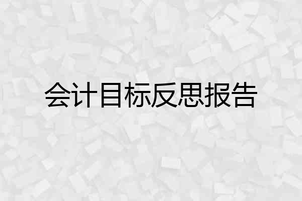 会计目标反思报告