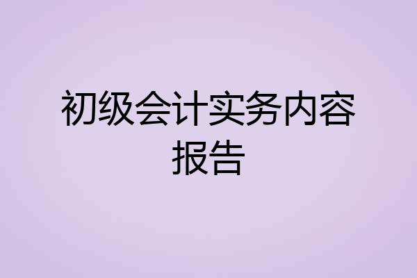 初级会计实务内容报告
