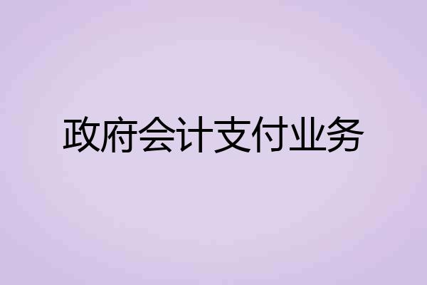 政府会计支付业务
