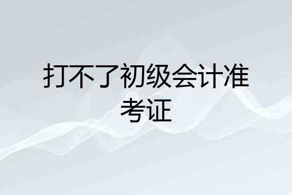 打不了初级会计准考证