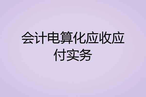 会计电算化应收应付实务