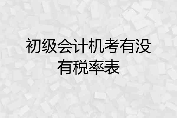 初级会计机考有没有税率表