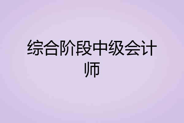 综合阶段中级会计师