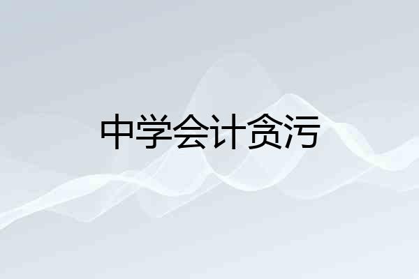 中学会计贪污
