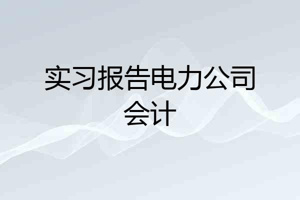 实习报告电力公司会计
