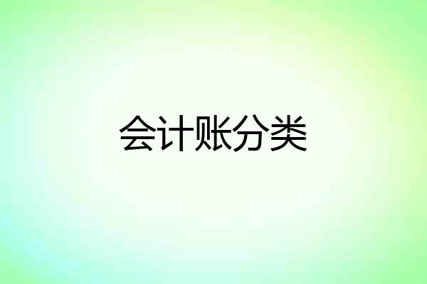 会计账分类