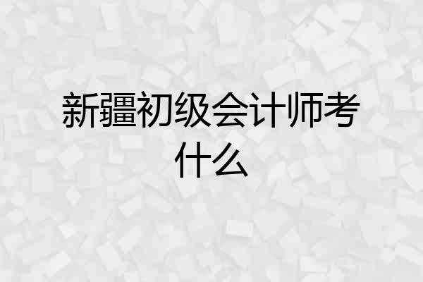 新疆初级会计师考什么