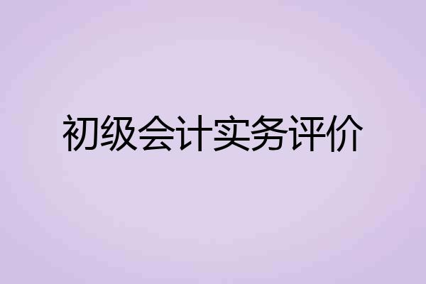 初级会计实务评价