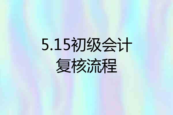 5.15初级会计复核流程