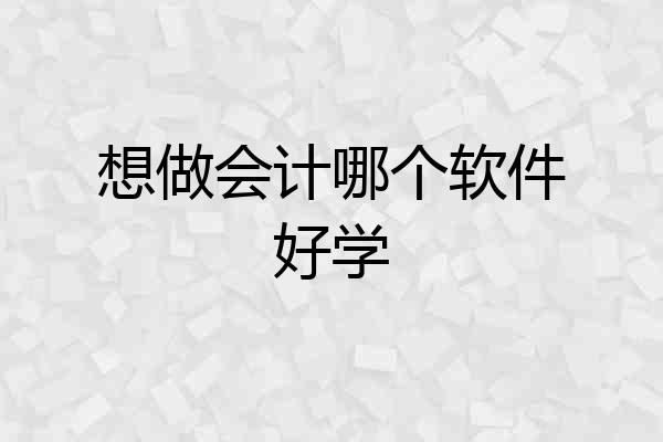 想做会计哪个软件好学
