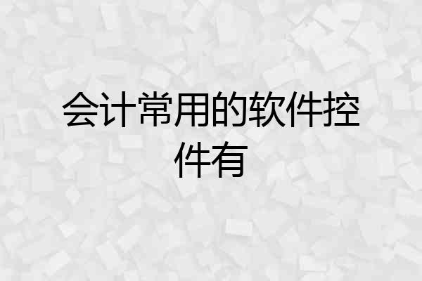 会计常用的软件控件有