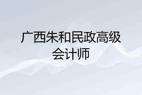 广西朱和民政高级会计师