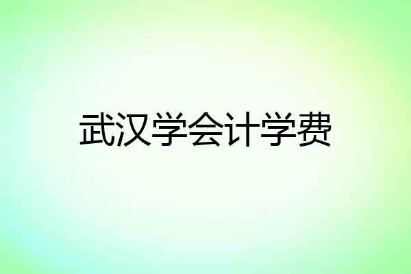 武汉学会计学费