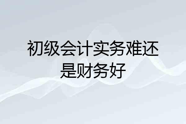 初级会计实务难还是财务好
