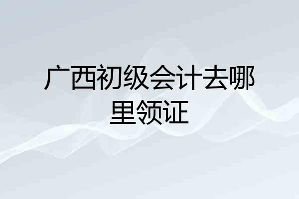 广西初级会计去哪里领证