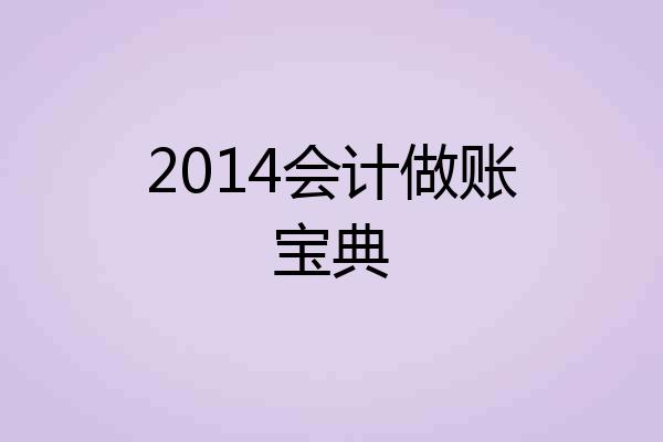 2014会计做账宝典
