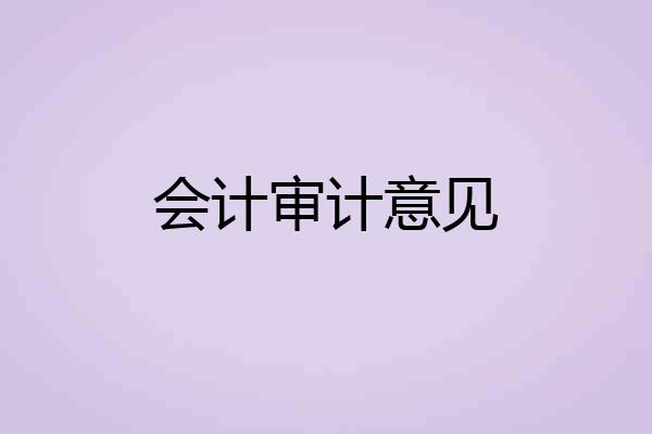 会计审计意见