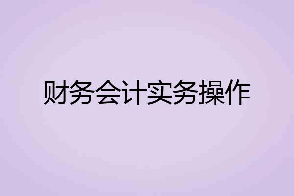 财务会计实务操作