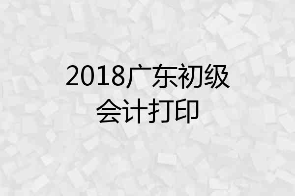 2018广东初级会计打印