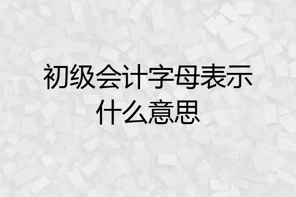 初级会计字母表示什么意思