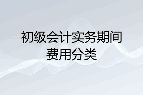 初级会计实务期间费用分类